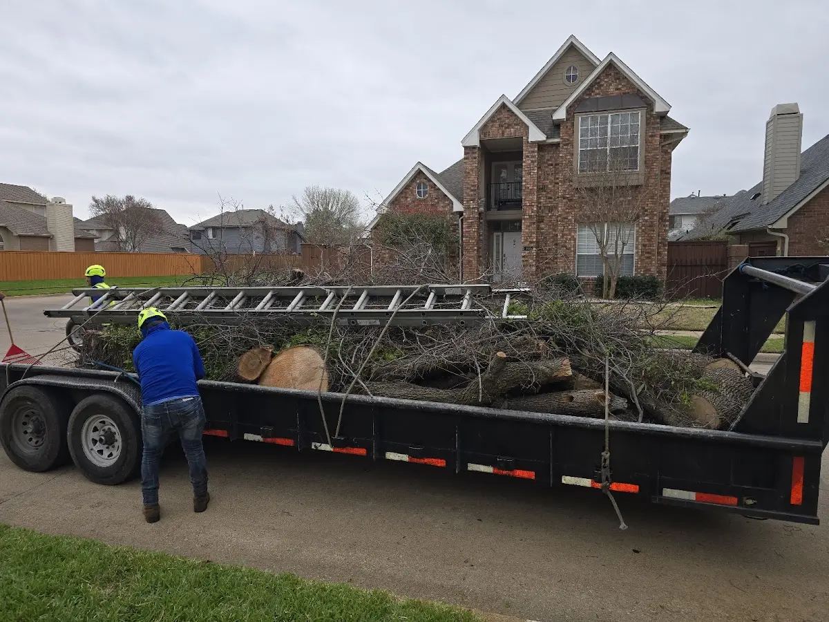 Expert Crown Reduction with proper safety equipment in West Coxsackie